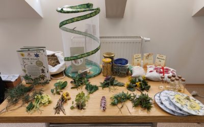 Herbárik alebo Musíme ich chrániť – 18. 4. 2023